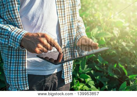 Farmer using digital tablet computer in cultivated soybean crops field modern technology application in agricultural growing activity selective focus