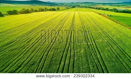 Aerial View Over The Agricultural Fields