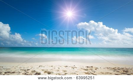 tropical beach