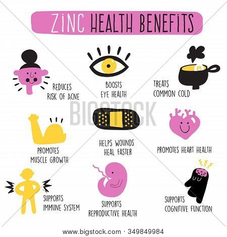 Zinc Health Benefits. Infographics. Vector Cartoon Illustration