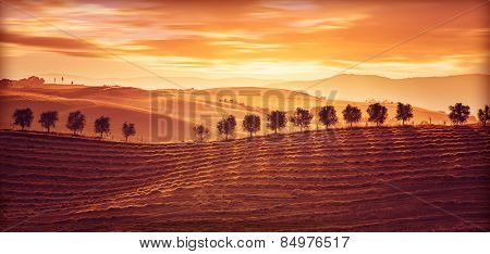 Beautiful countryside landscape, amazing orange sunset over golden soil hills, beauty of nature, agriculture and farming season, Tuscany, Italy