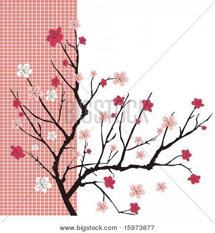 cherry tree vector