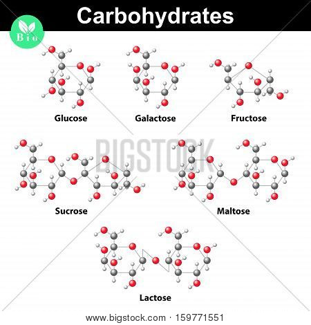 General carbohydrates molecular structures research 3d vector illustration isolated on white background eps 10