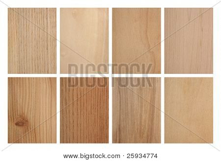 Set of eight wood textures: ash tree, aspen, cypresses, hazel, larch tree, phellodendron, rowan tree and linden