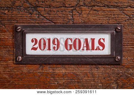 2019 goals  - a label on a grunge wooden file cabinet, New Year goals and resolutions concept