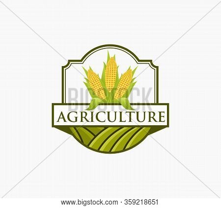 Agricultural  Logo Design, Farm Corn, Agricultural Company Logo. Farm Corn Design. Agricultural Illu