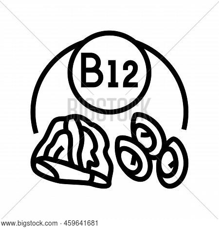 B12 Vitamin Line Icon Vector. B12 Vitamin Sign. Isolated Contour Symbol Black Illustration