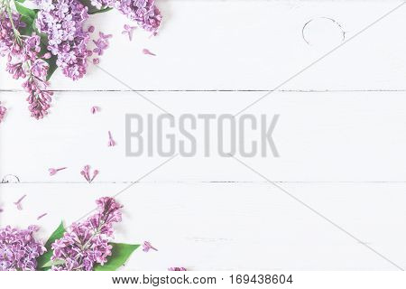 Spring flowers. Lilac flowers on white wooden background. Top view flat lay