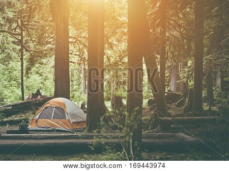 Tent Camping in the Forest Wilderness. Camping Theme.