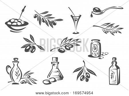 Olives vector icons. Vector isolated emblems of olive oil seasoning or dressing bottle, fresh olive-tree branch, green olives in alcohol cocktail drink, pickled olives snack in bowl for product package design