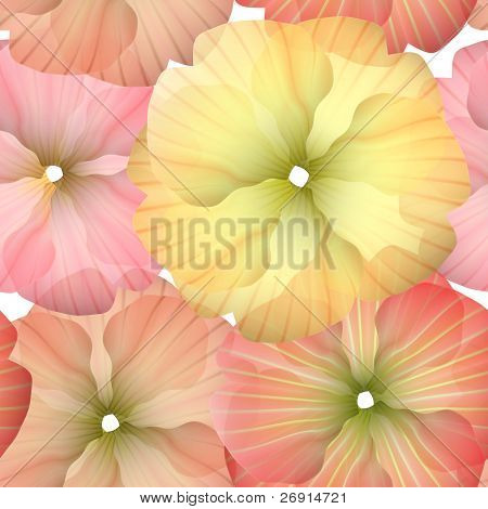 seamless Primula Flowers