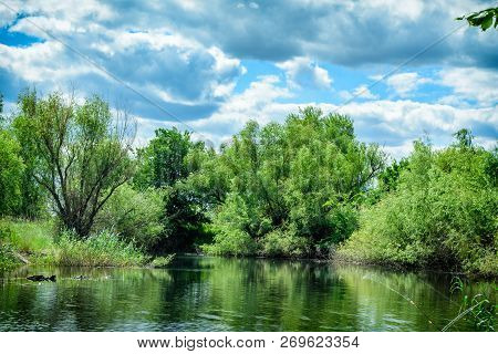 Beautiful Landscape Of Forest Lake In The Park. Outdoor Recreation.