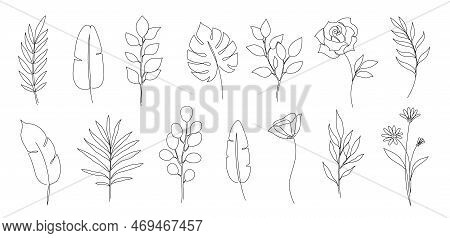 Flower, Floral Leaf One Line Art. One Continuous Line Art Leaf, Flower Minimal Design. Editable Stro