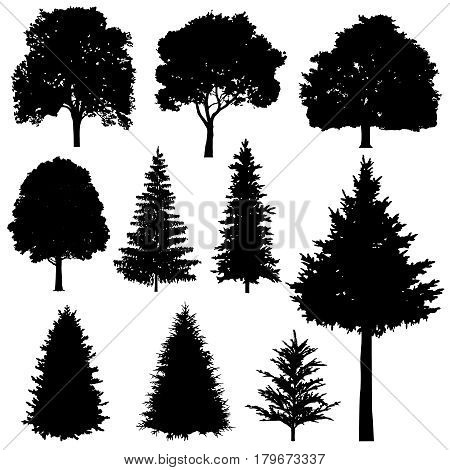 Forest coniferous and deciduous fir trees vector silhouettes set. Evergreen tree plant, illustration of silhouette wood tree