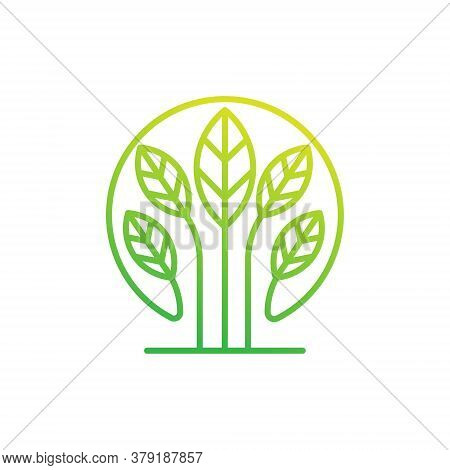 Leaf. Leaf Logo. Leaf vector. Leaf Logo vector. Leaves Logo. Leaf vector Logo. Vector Leaf Logo. Nature Leaf Logo. Leaf Logo design. Leaf Logo icon vector. Eco Leaf Logo. Leaf Sign. Leaf Symbol. Leaf Logo vector design template illustration.