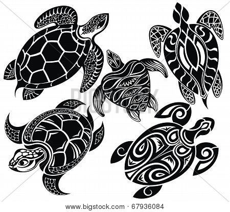 Turtles