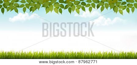 Nature background with leaves and grass. Vector.