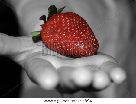 Berry In Hand