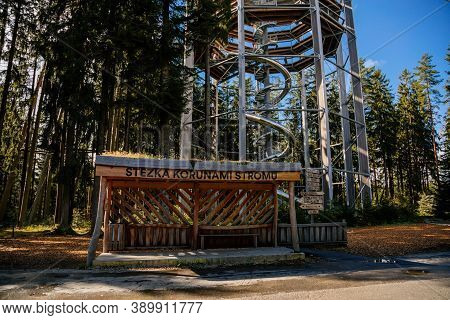 Treetop Walkway (stezka Korunami Stromu) In Sunny Day Lipno Nad Vltavou, South Bohemia, Czech Republ