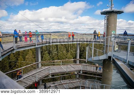 Treetop Walkway (stezka Korunami Stromu) In Sunny Day Lipno Nad Vltavou, South Bohemia, Czech Republ