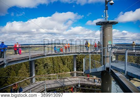 Treetop Walkway (stezka Korunami Stromu) In Sunny Day Lipno Nad Vltavou, South Bohemia, Czech Republ