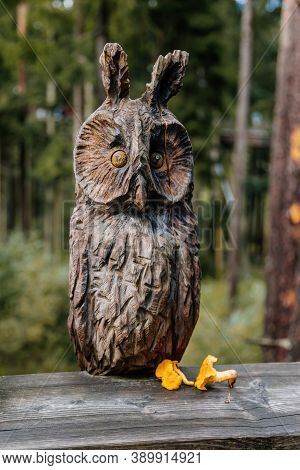 Figurine Of An Owl Carved From Wood And Chanterelles. Treetop Walkway (stezka Korunami Stromu) Lipno