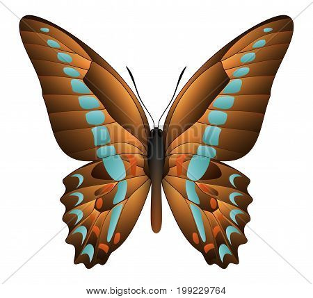 Beautiful butterfly isolated on a white background. Graphium sarpedon or blue triangle butterfly. 3D illustration