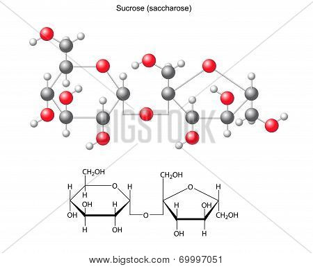 Structural Chemical Formula And Model Of Sucrose (saccharose)