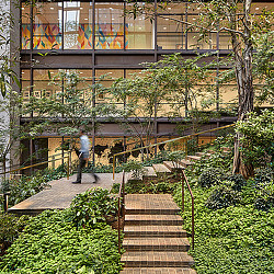 A person walking up a flight of stairs.