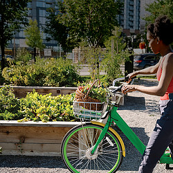 A man riding a bicycle.