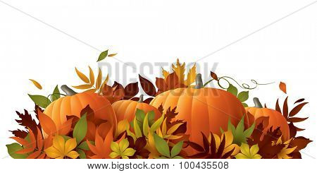 Thanksgiving background. Pumpkins and autumn leaves.