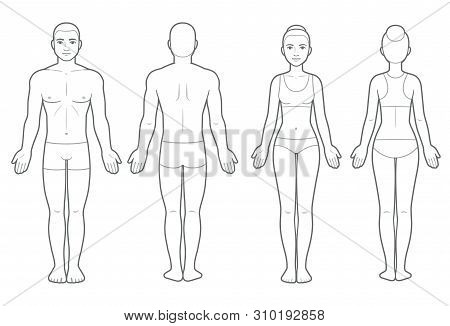 Male And Female Body Chart, Front And Back View. Blank Human Body Template For Medical Infographic. 