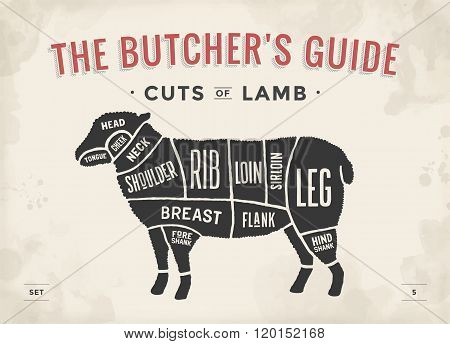 Cut of beef set. Poster Butcher diagram and scheme - Lamb. Vintage typographic hand-drawn. Vector il