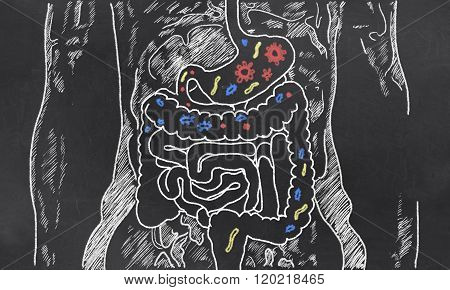 Intestines Sketch With Guts Bacteria