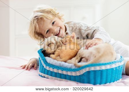 Child, Dog And Cat. Kids Play With Puppy, Kitten.