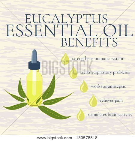 Benefits of eucalyptus essential oil. infographics. Reasons to use eucalyptus essential oil. A bottle of eucalyptus oil. Isolated vector illustration.