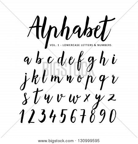 Hand drawn vector alphabet. Script font. Brush font. Isolated letters written with marker ink. Calligraphy lettering.