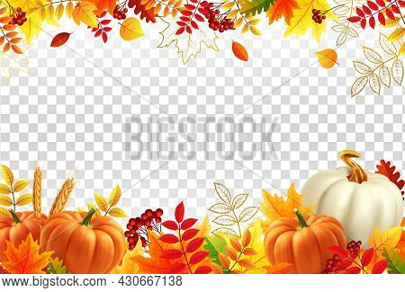 White And Yellow Pumpkins, Orange Leaves On Transparent Background. Autumn Festival Invitation. Bord