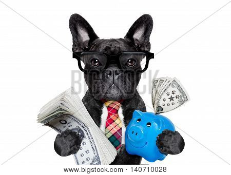 Dog Money And Piggy Bank