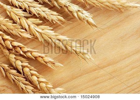 Wheat spikes on  wooden cutting board with copy space