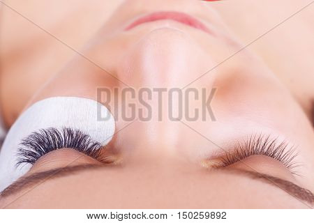 Eyelash Extension Procedure. Woman Eye with Long Eyelashes. Lashes. Close up, selected focus.