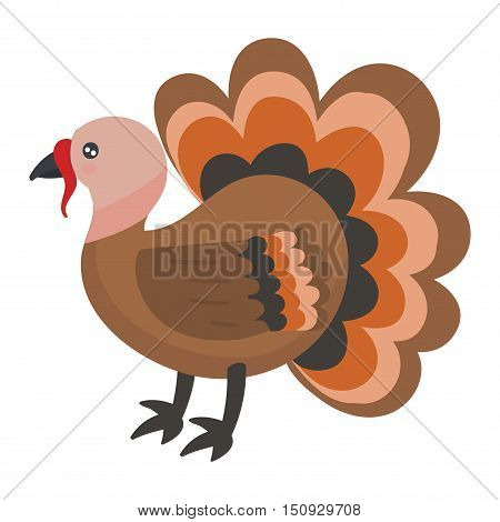 Cute cartoon turkey vector illustration. Cartoon turkey isolated on background. Turkey, bird, farm bird animal. Vector turkey farm animal. Cute turkey vector illustration. Turkey vector isolated