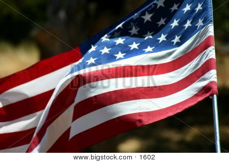 US Flag