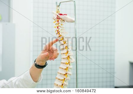 Closeup on medical doctor woman pointing on spine model