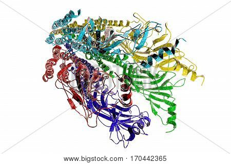 Acetylcholine receptor isolated on white background, 3D illustration