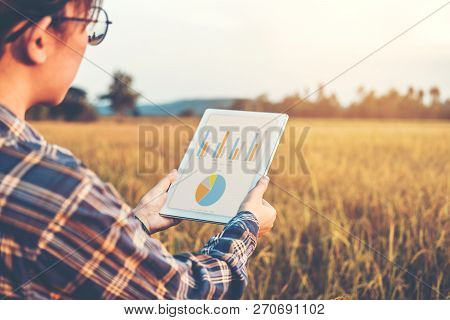 Smart Farming Agricultural Technology And Organic Agriculture Woman Using The Research Tablet And St