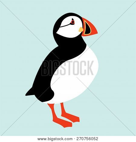 Icelandic Symbol. Puffin Bird Icon. Vector Illustration