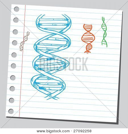 Illustration sommaire d'un ADN spirales