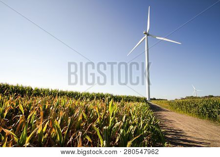 Michigan Wind Farm. Wind Turbine In The Middle Of A Corn Field In The Farm Land Of The American Midw