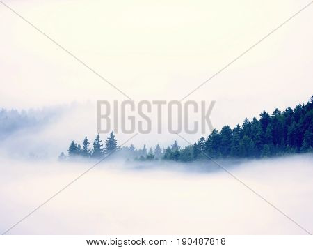 Magnificent Heavy Mist In Landscape. Autumn Creamy Fog In Countryside. Hill Increased From Fog,